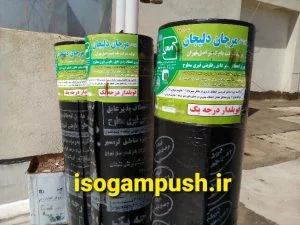ایزوگام چیست